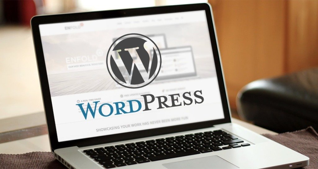 WordPress-Website-Development-Service-in-delhi