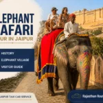 Elephant Safari Tour in Jaipur