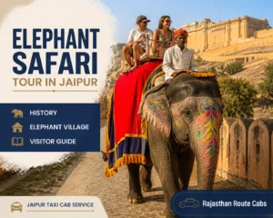 Elephant Safari Tour in Jaipur